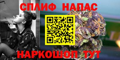 PSILOCYBIN Бугуруслан