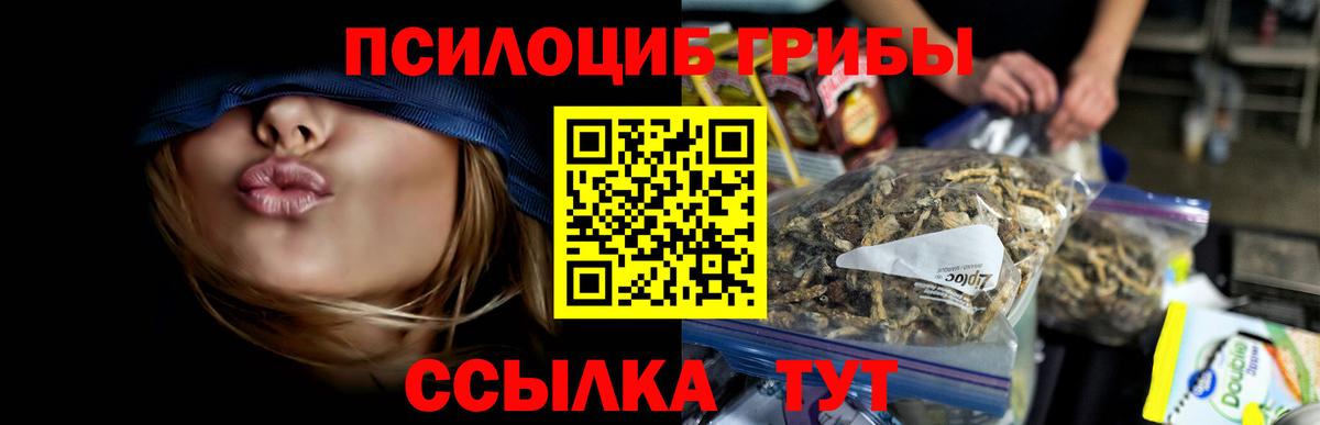 Псилоцибиновые грибы прущие грибы  Вход с VPN  Ртищево 